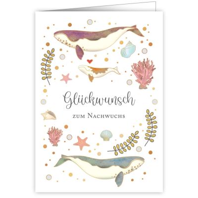 Glückwunsch zum Nachwuchs